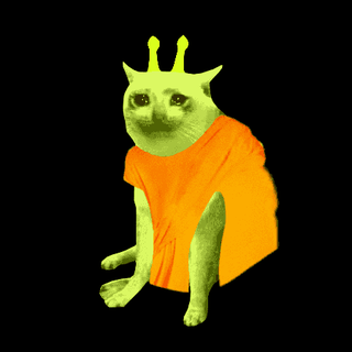 CASHCAT — example collection